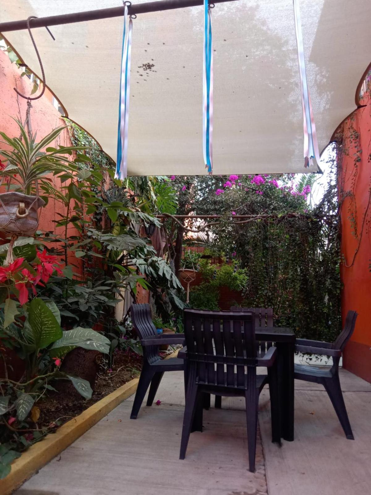 Casa Guanab Guest House Oaxaca Luaran gambar